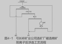 采用磁選-陽(yáng)離子反浮選工藝處理磁鐵礦的實(shí)例